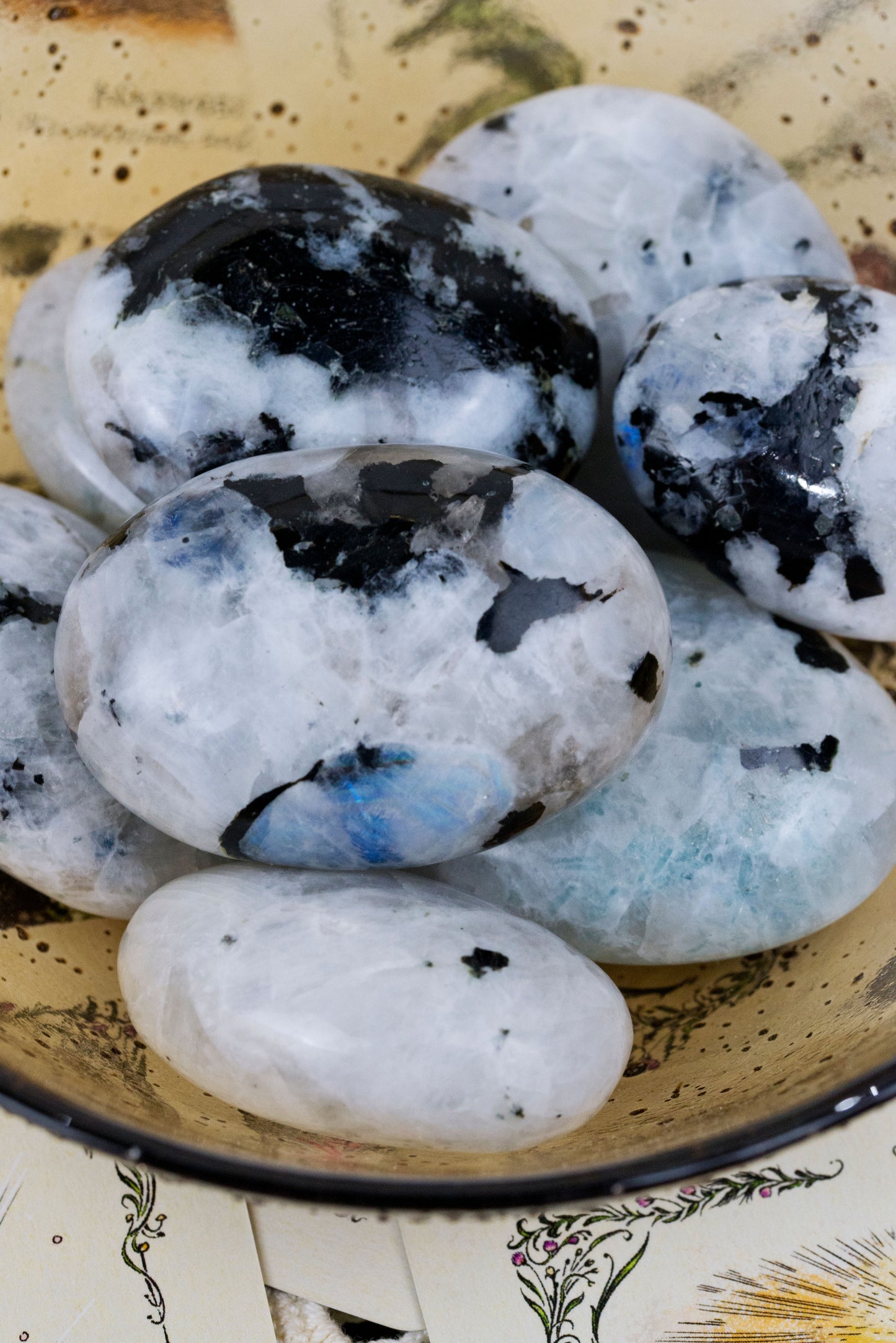 Rainbow Moonstone | Palms