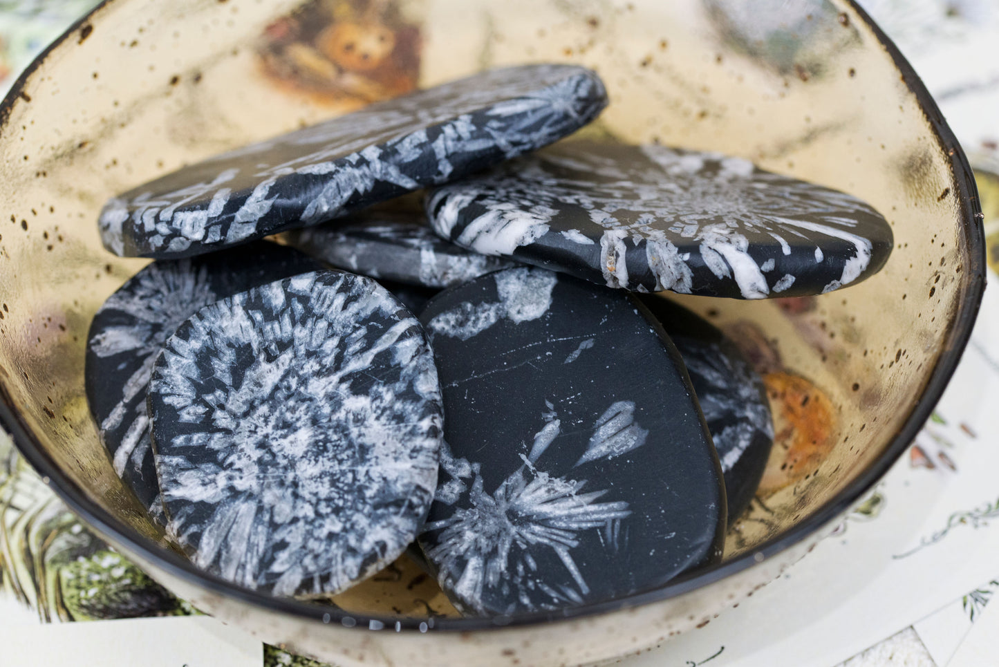 Chrysanthemum Stone | Palms