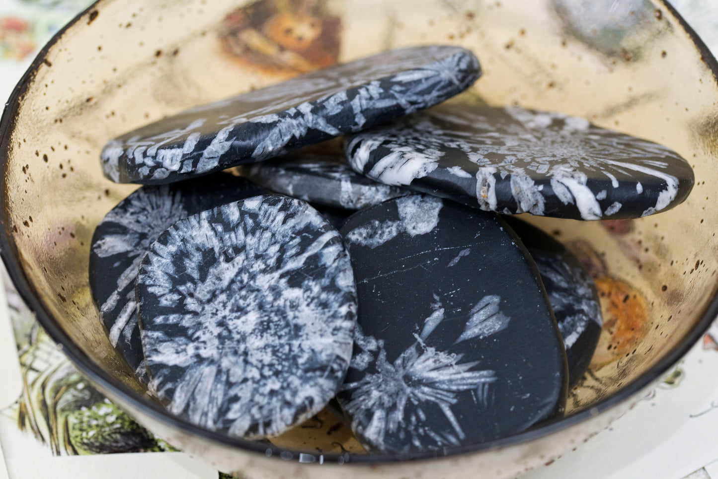Chrysanthemum Stone | Palms