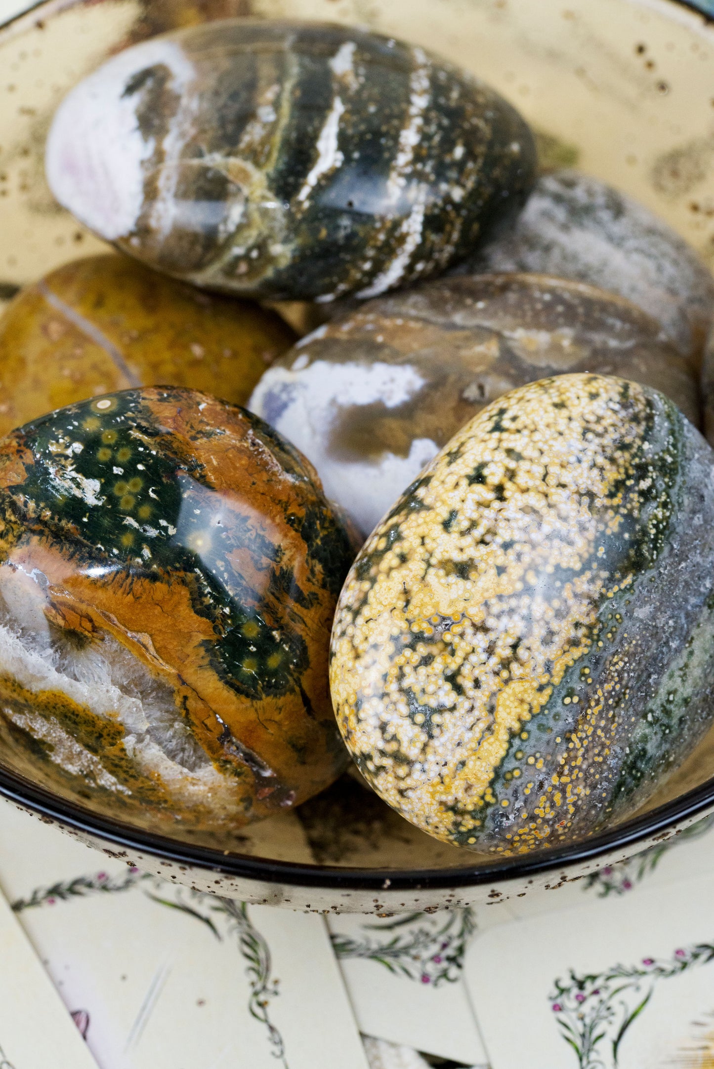 Ocean Jasper | Palms