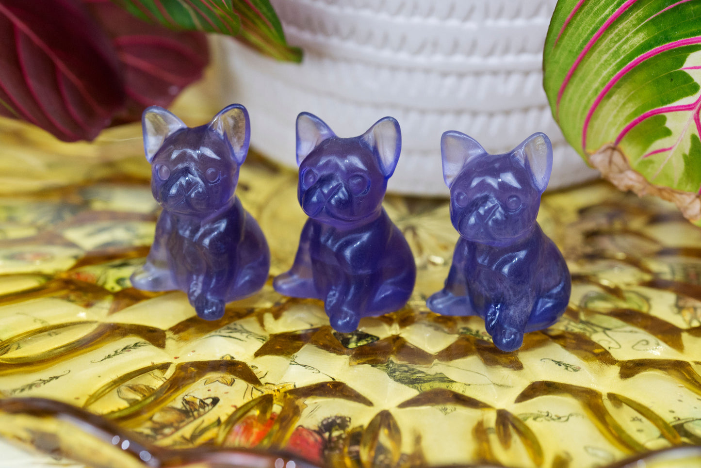 Purple Fluorite | Bulldogs