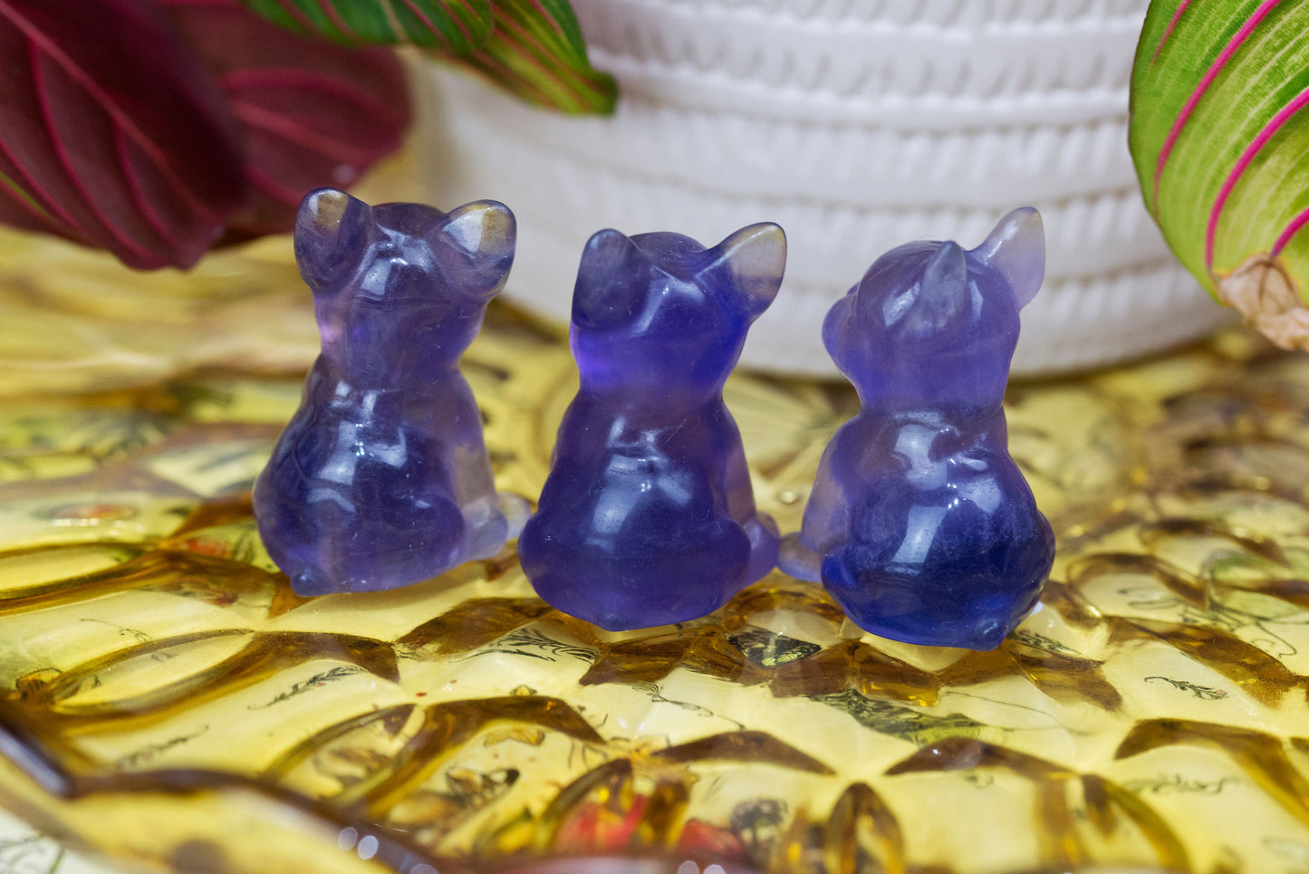 Purple Fluorite | Bulldogs