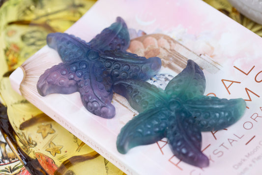 Rainbow Fluorite | Starfish