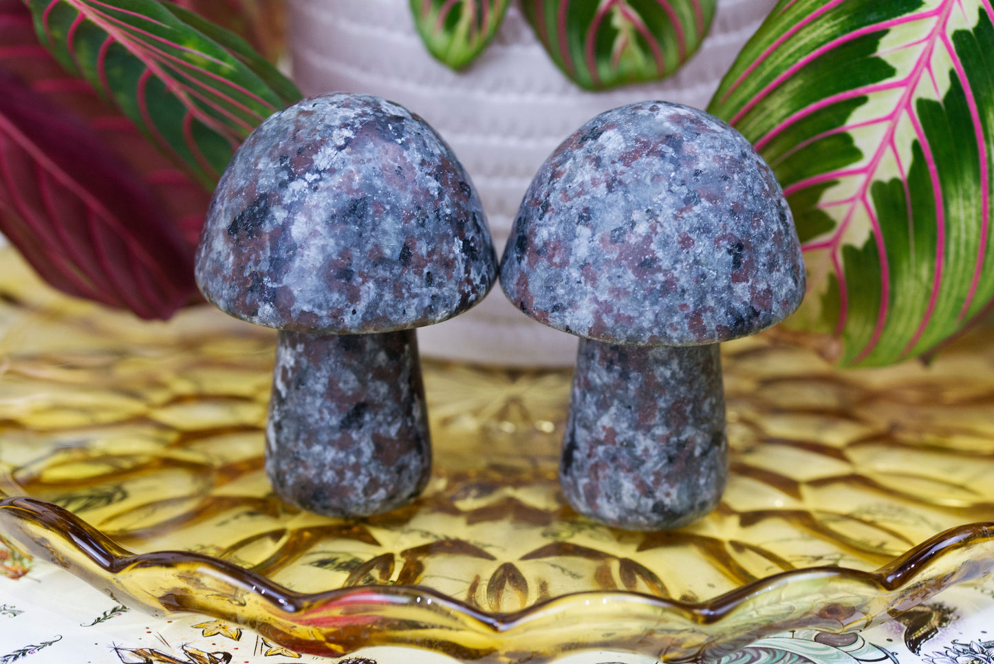 Yooperlite | Mushrooms