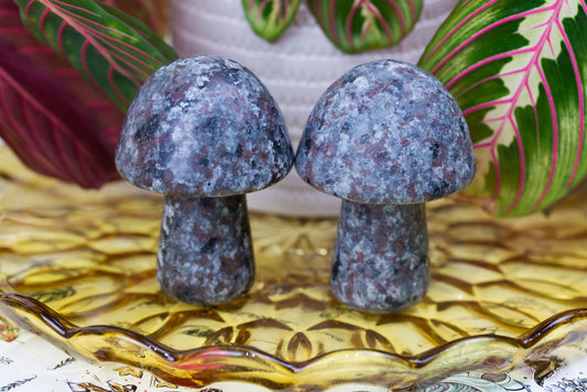 Yooperlite | Mushrooms