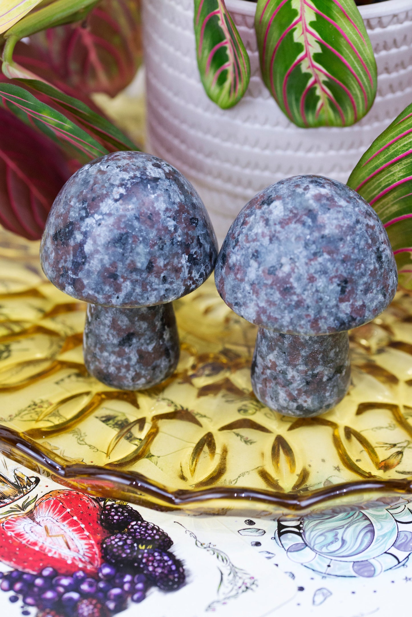 Yooperlite | Mushrooms