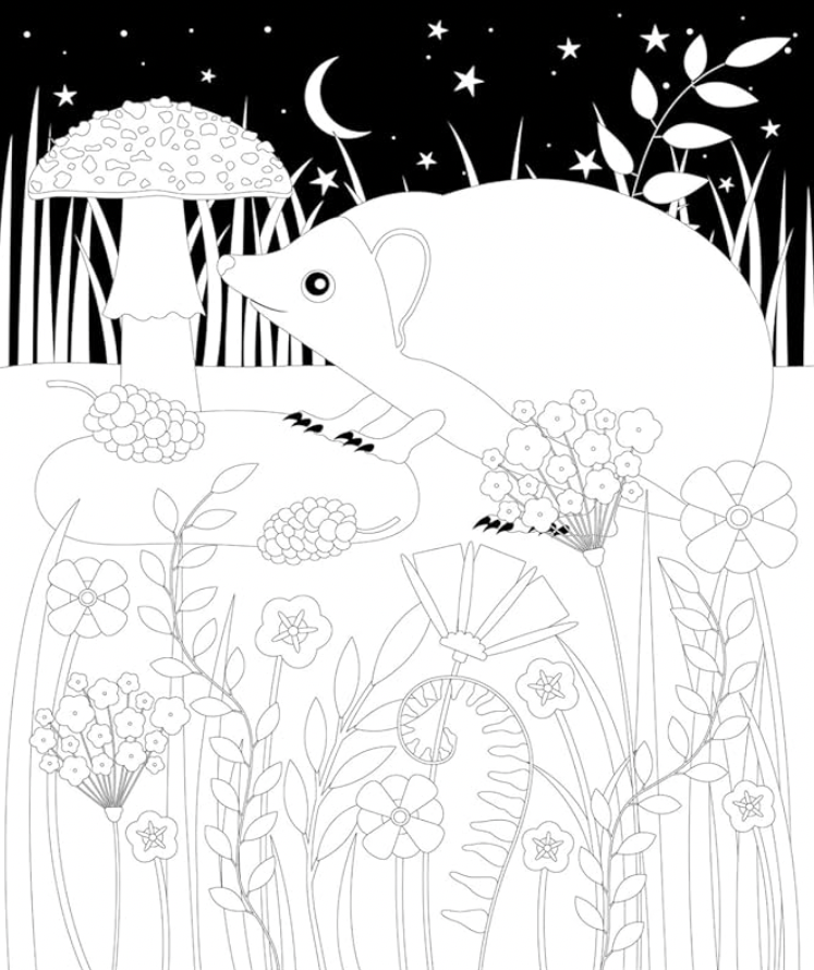 The Midnight Garden | Coloring Book