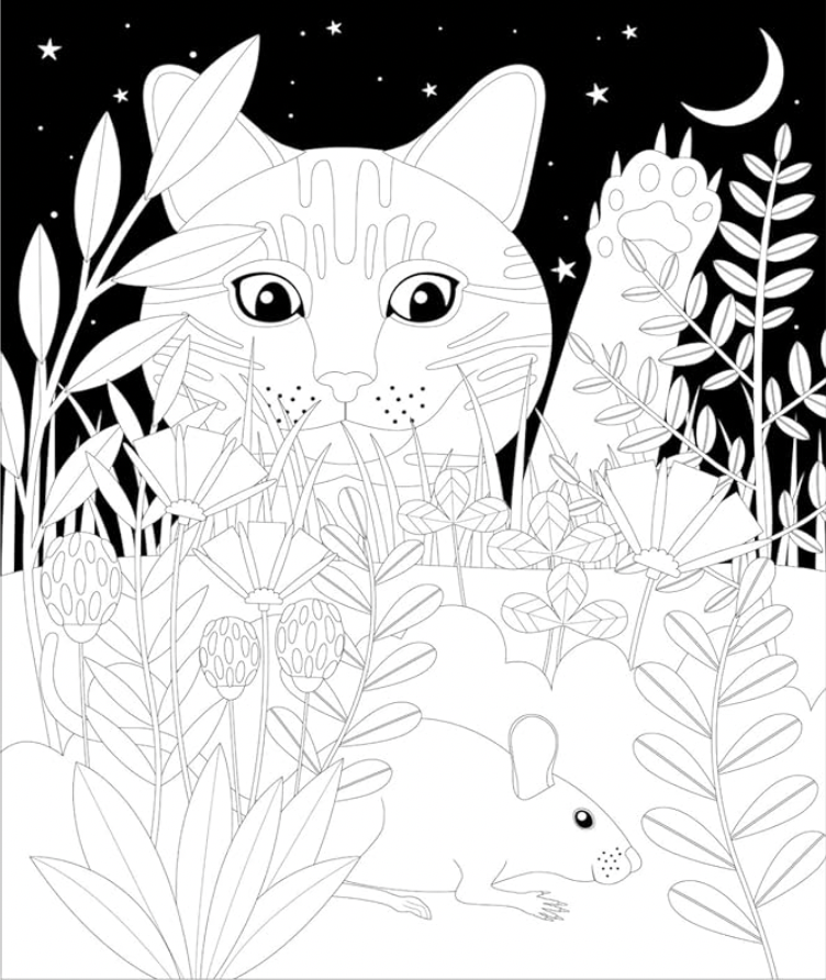 The Midnight Garden | Coloring Book