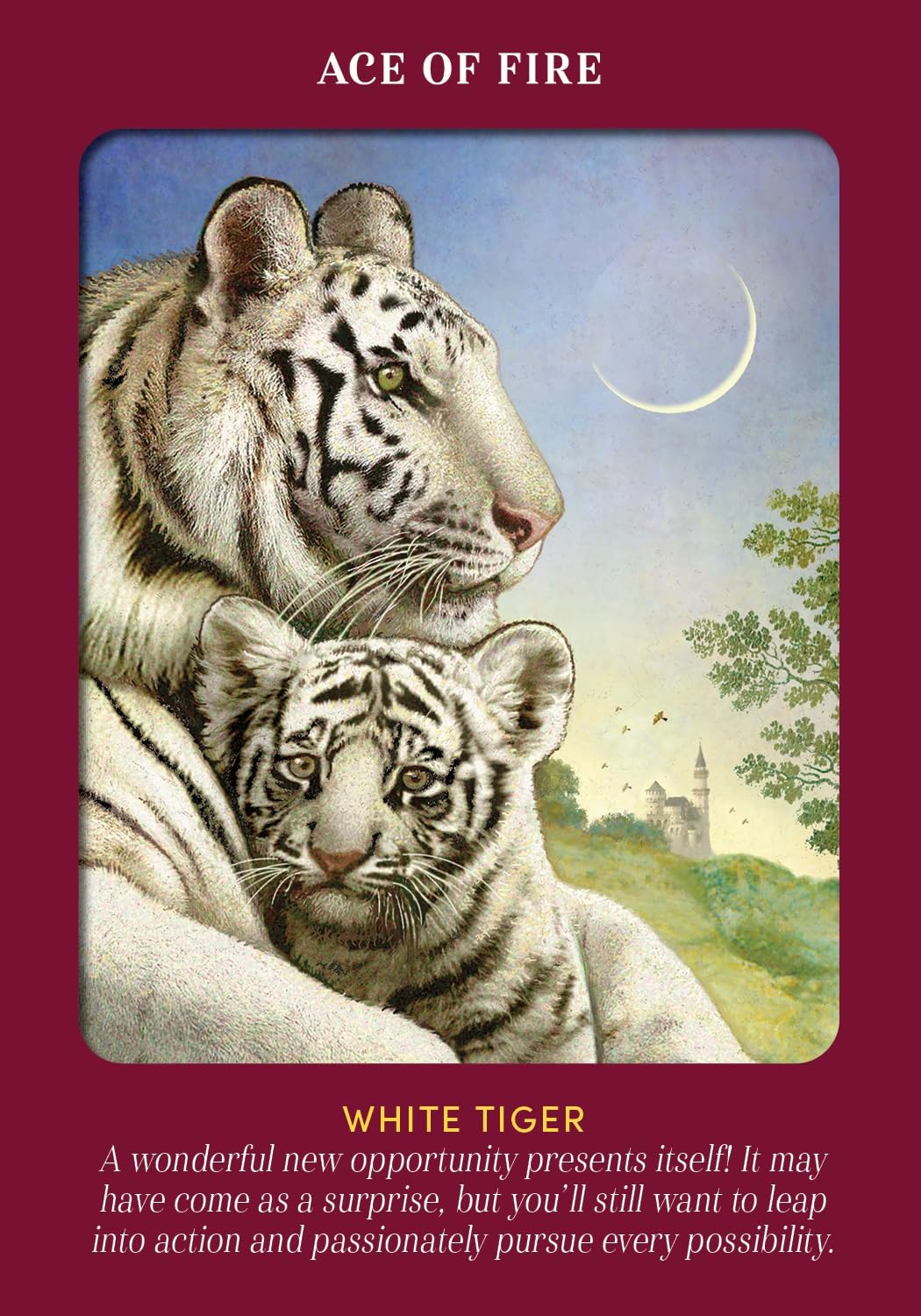 Animal Guides | Tarot