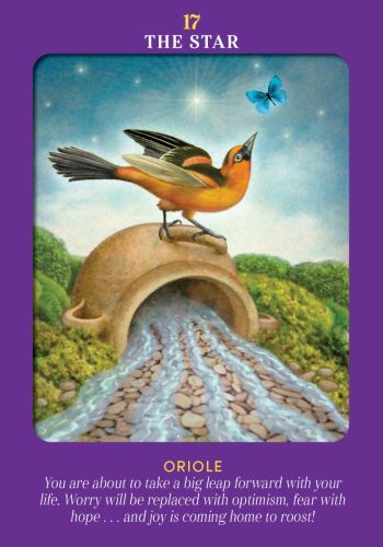 Animal Guides | Tarot