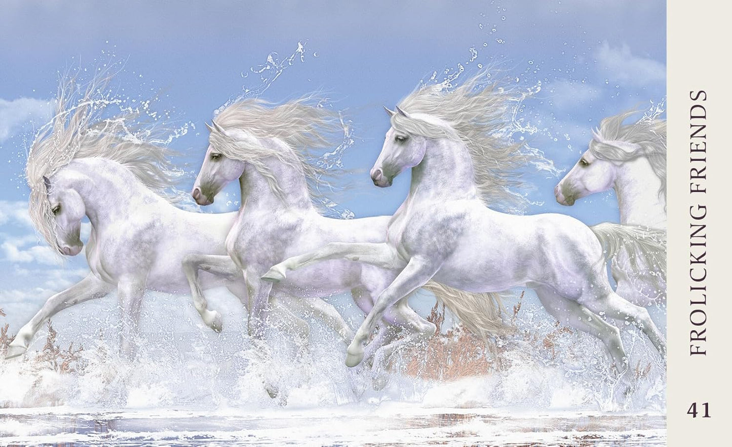 Horse Wisdom | Oracle