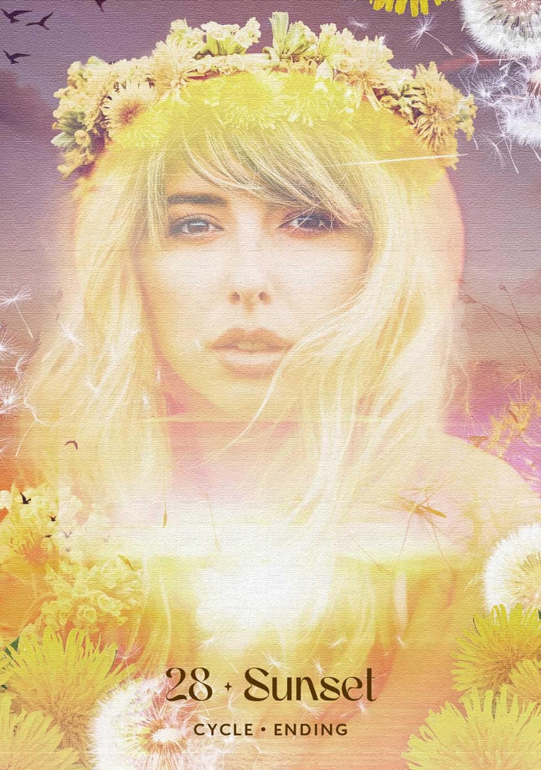 Midnight Sun | Oracle