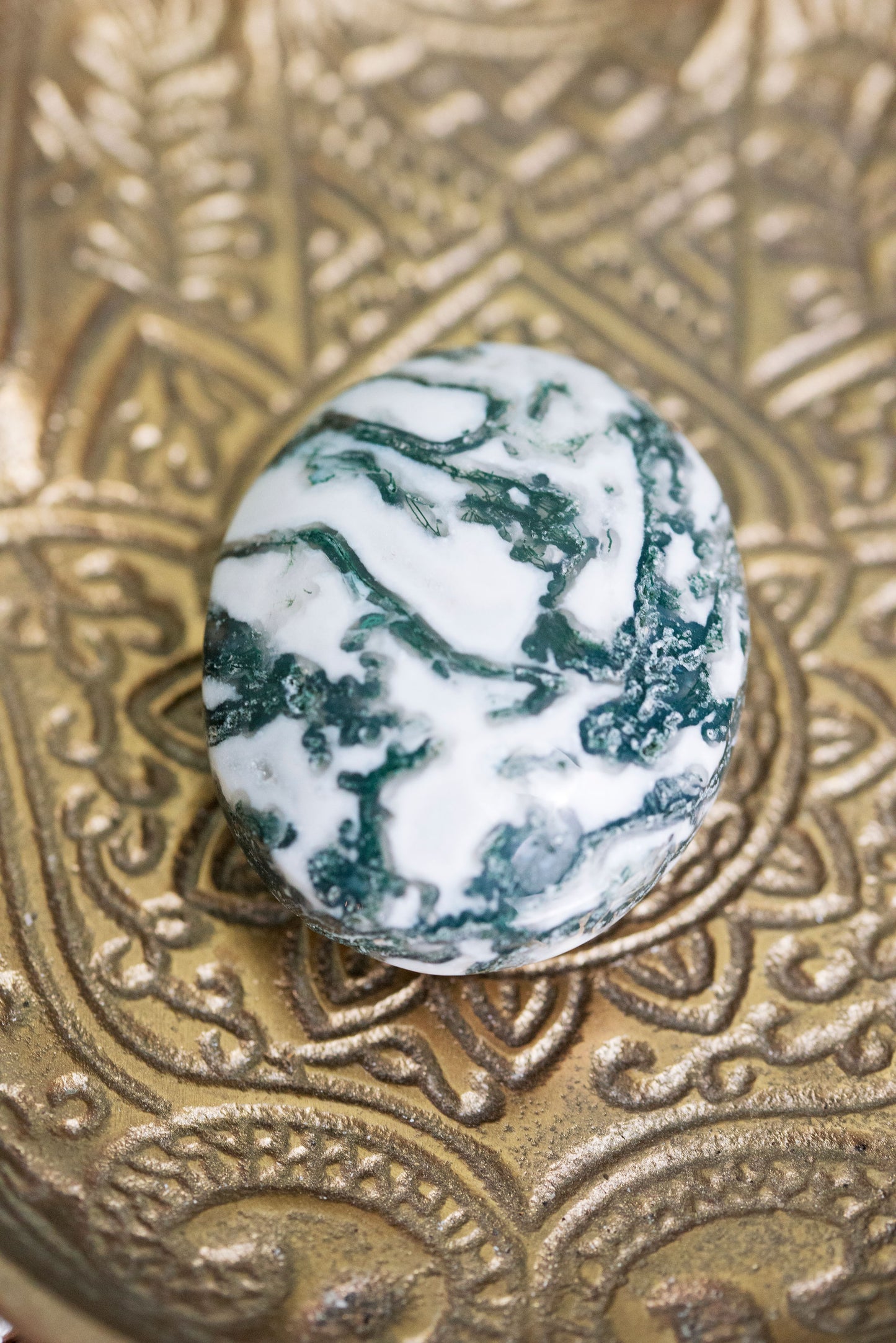 Moss Agate Palm