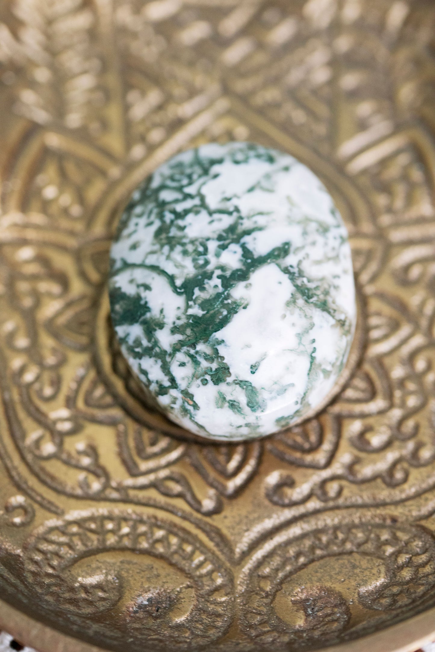 Moss Agate Palm