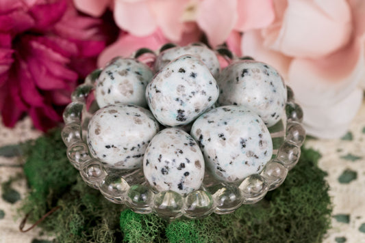 Kiwi Jasper | Tumbles