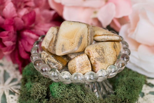 Picture Jasper | Tumbles