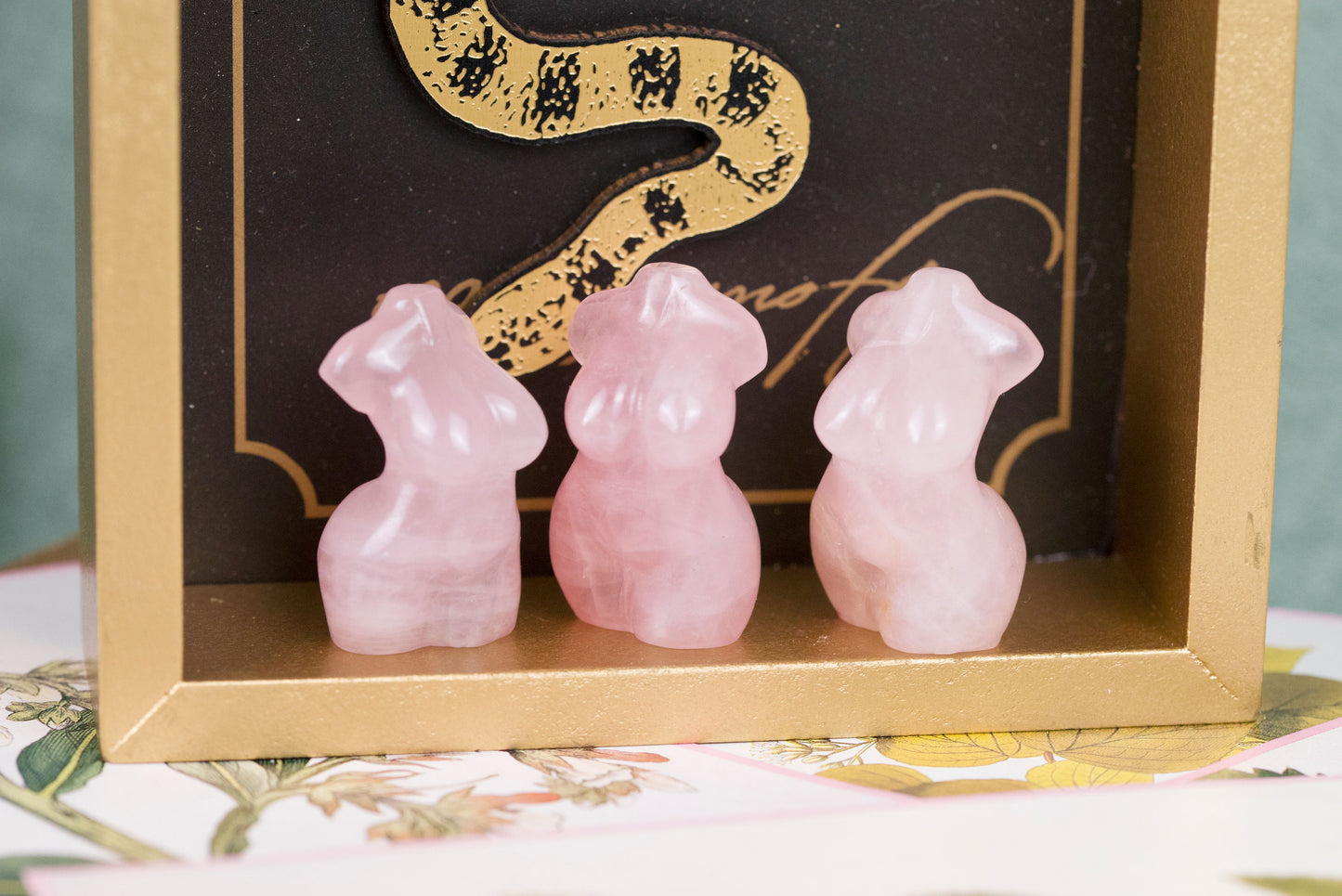 Curvy Goddess Bodies | Mini