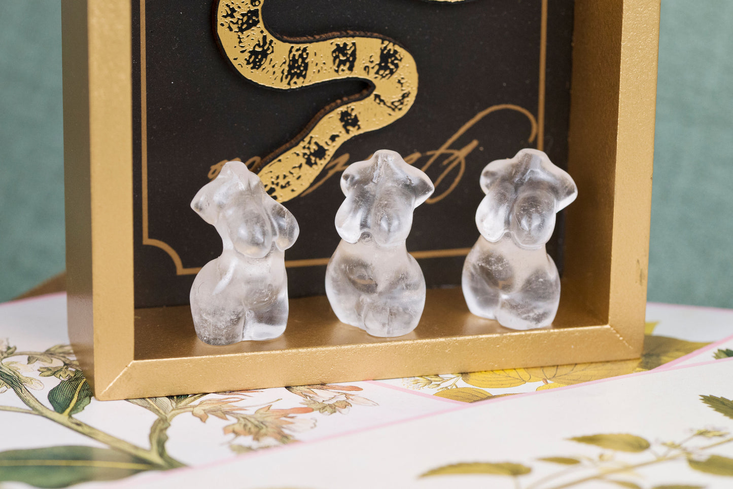 Curvy Goddess Bodies | Mini