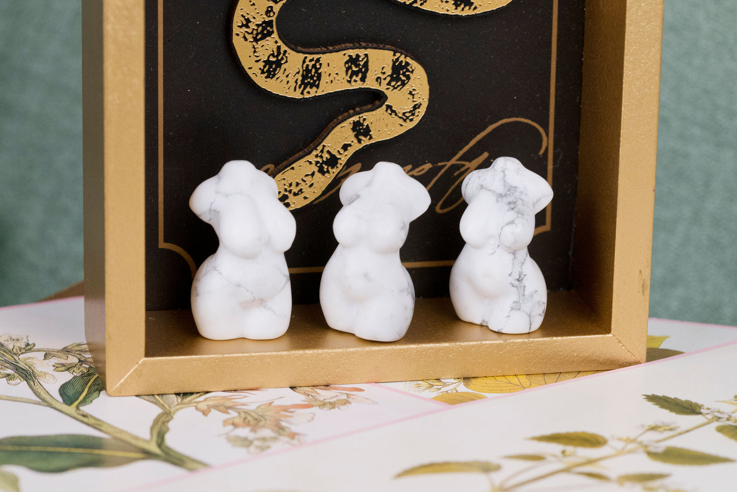 Curvy Goddess Bodies | Mini