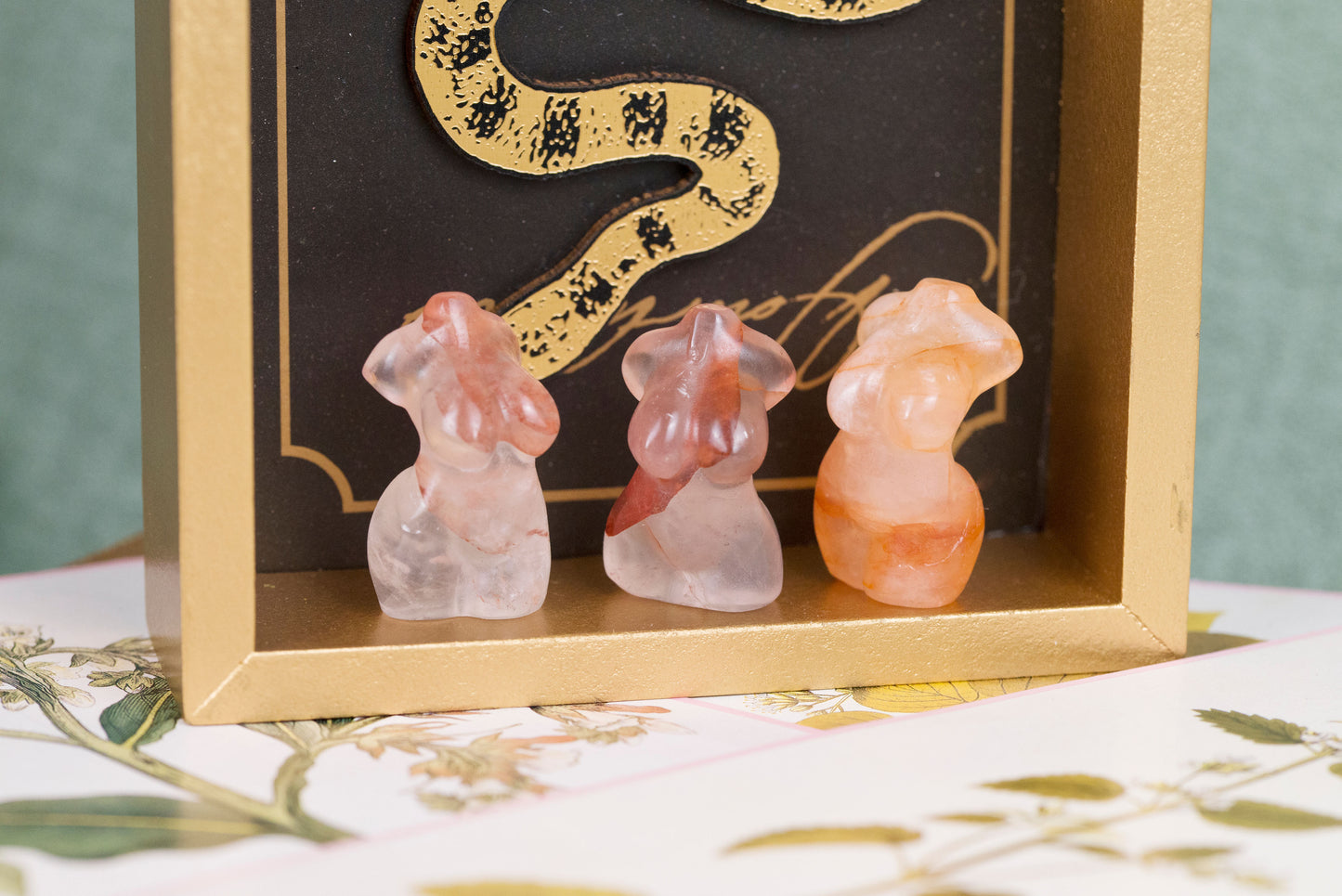 Curvy Goddess Bodies | Mini