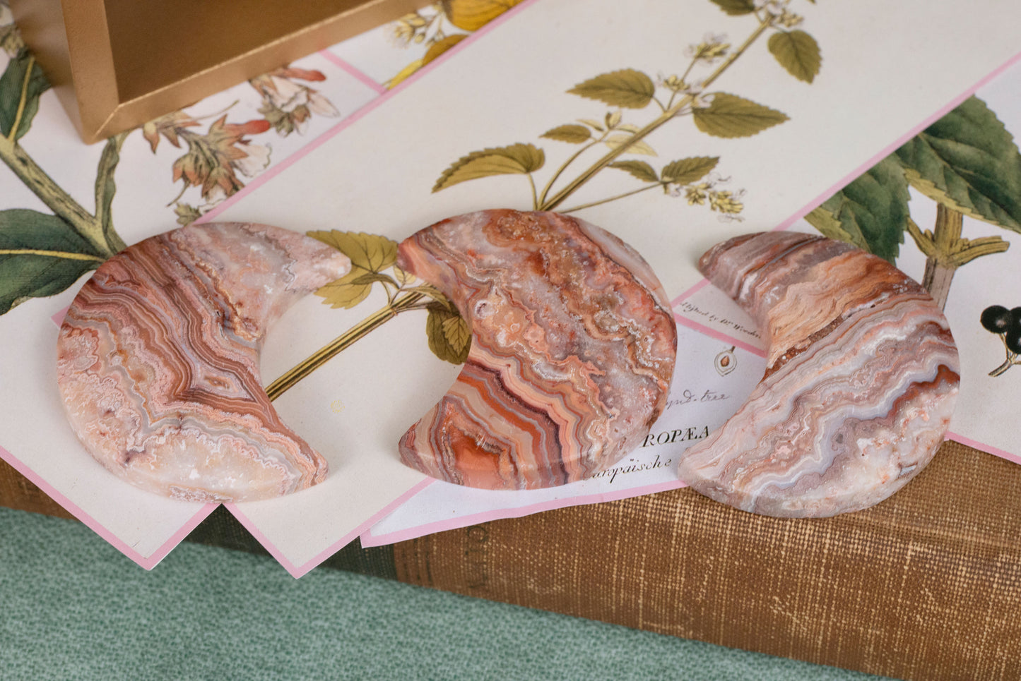 Crazy Lace Agate | Moons