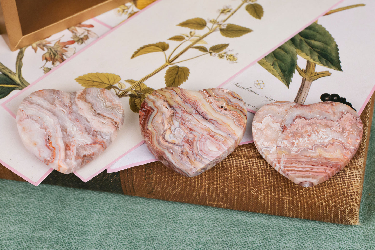 Crazy Lace Agate | Hearts