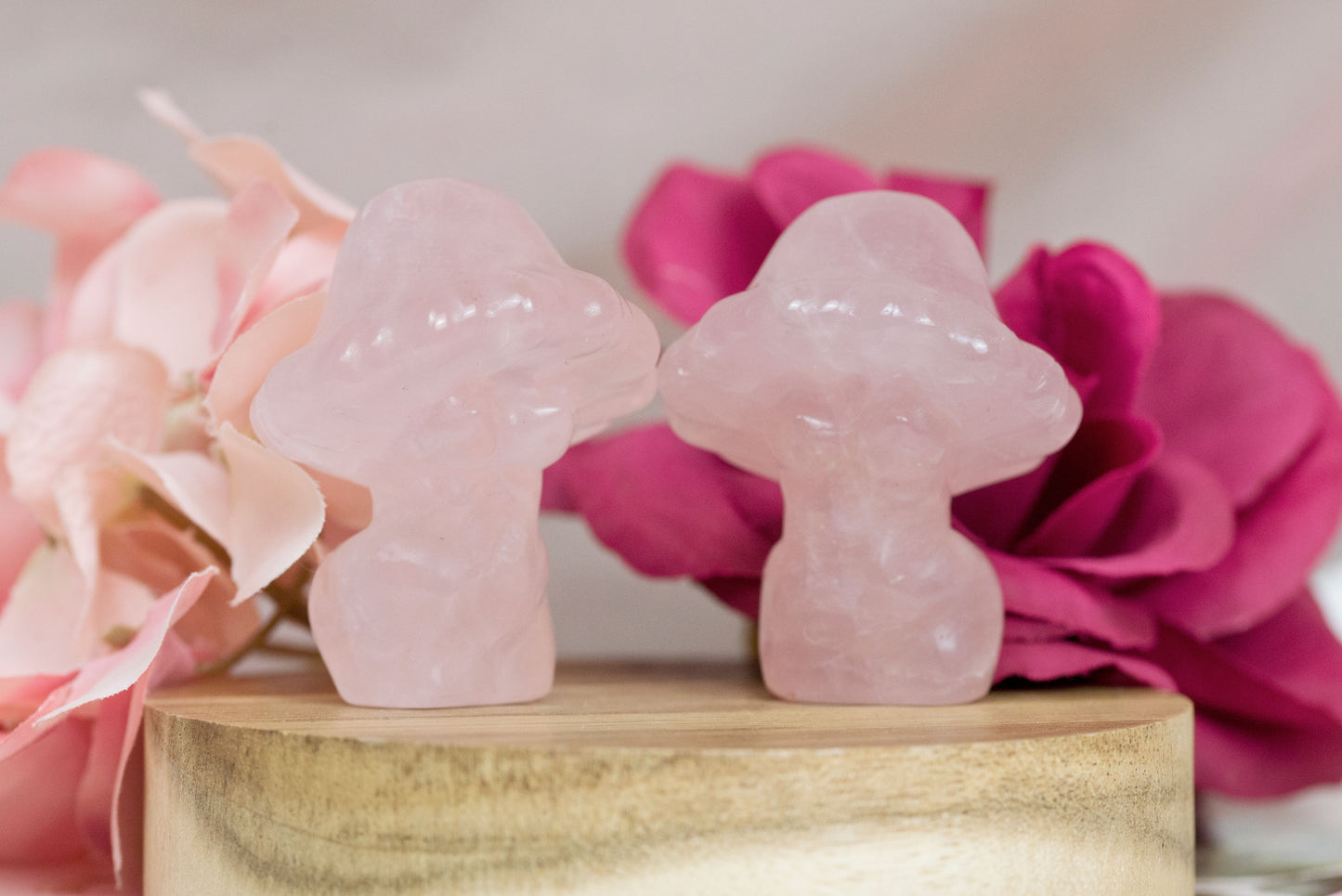 Rose Quartz | Mushroom Goddess