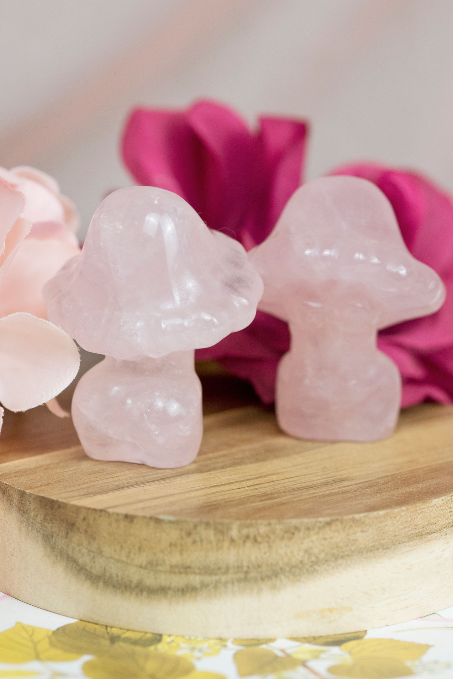 Rose Quartz | Mushroom Goddess