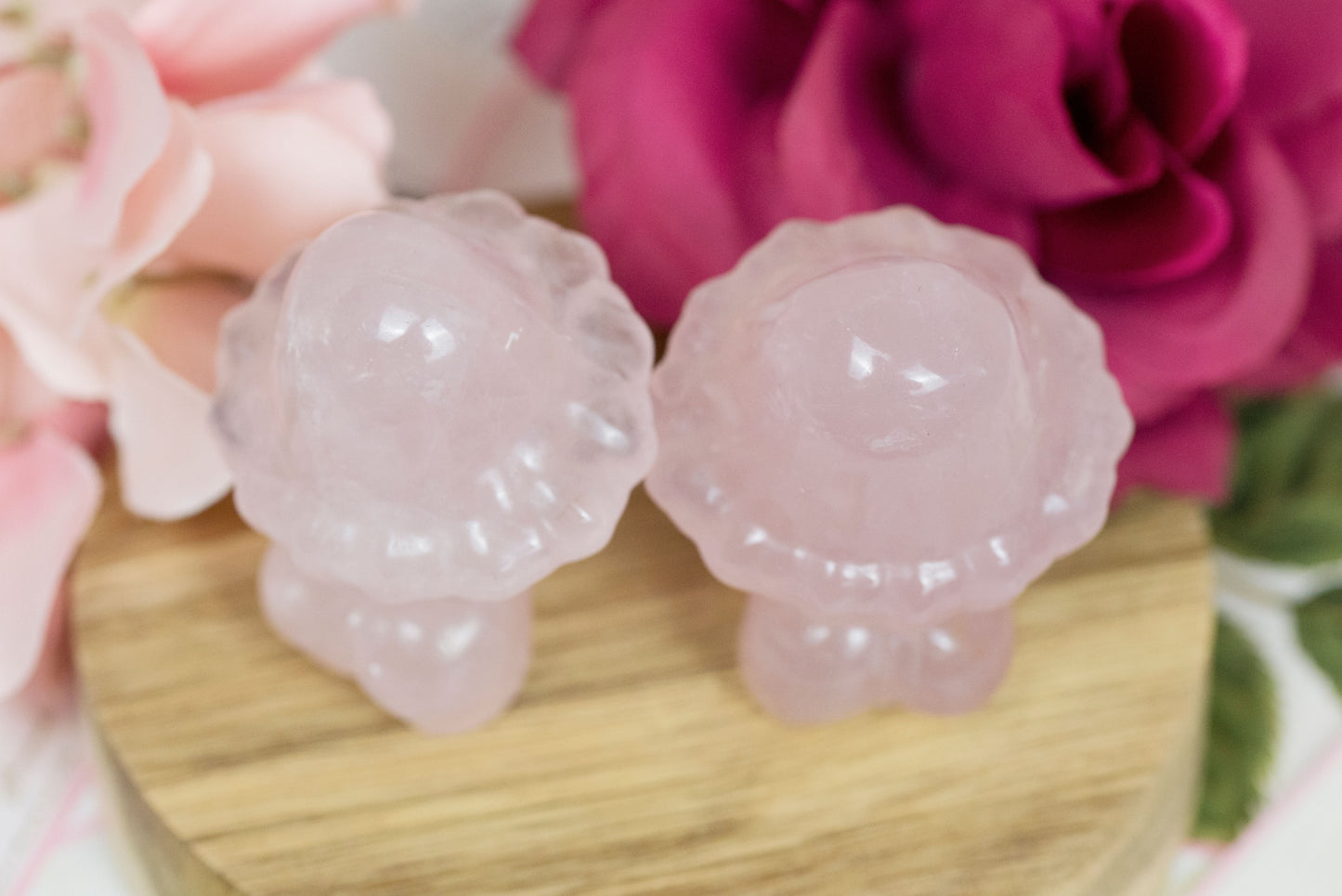 Rose Quartz | Mushroom Goddess