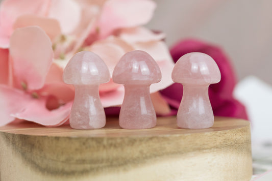 Rose Quartz | Mushrooms