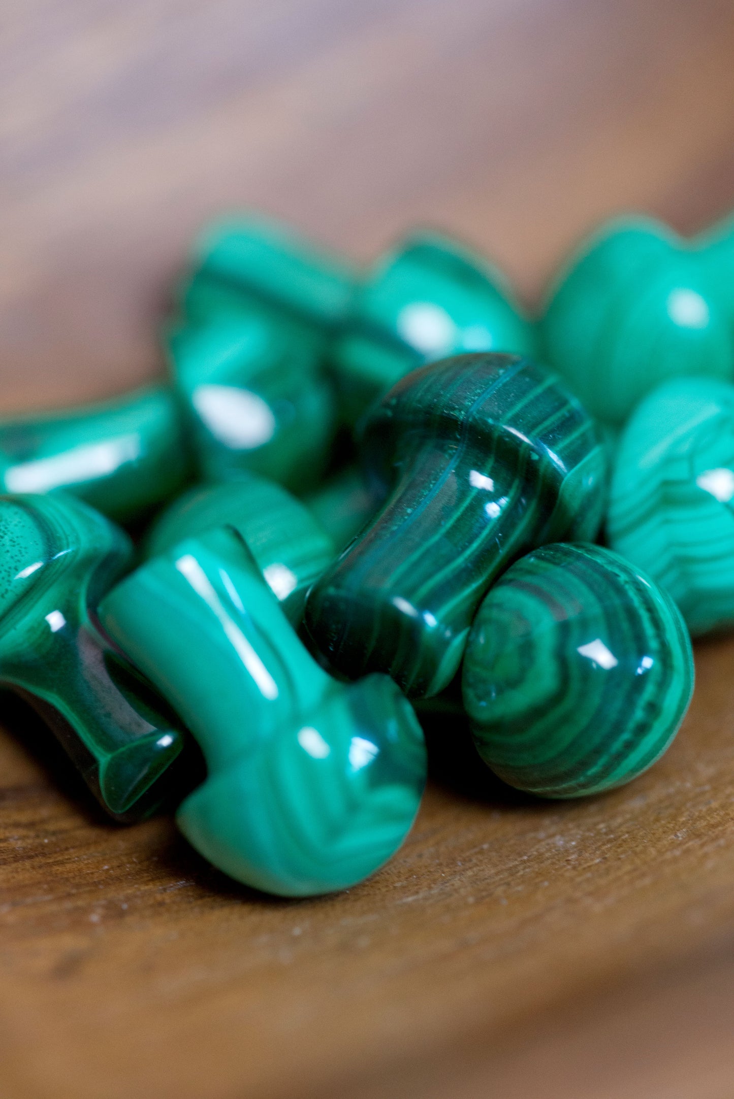 Malachite | Mushrooms