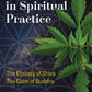 Cannabis in Spiritual Practice