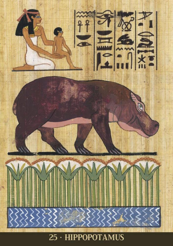 Egyptian Sacred Animals | Oracle