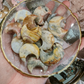 Crazy Lace Agate | Mini Moons
