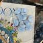 Blue Lace Agate | Mini Moons