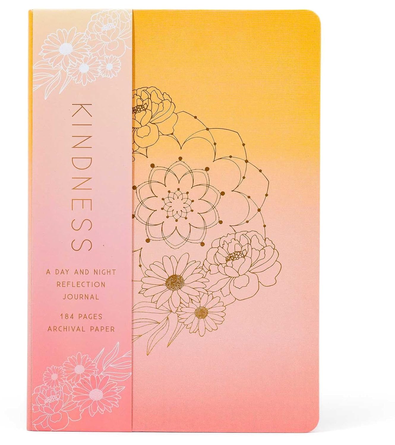 Kindness | A Day & Night Reflection