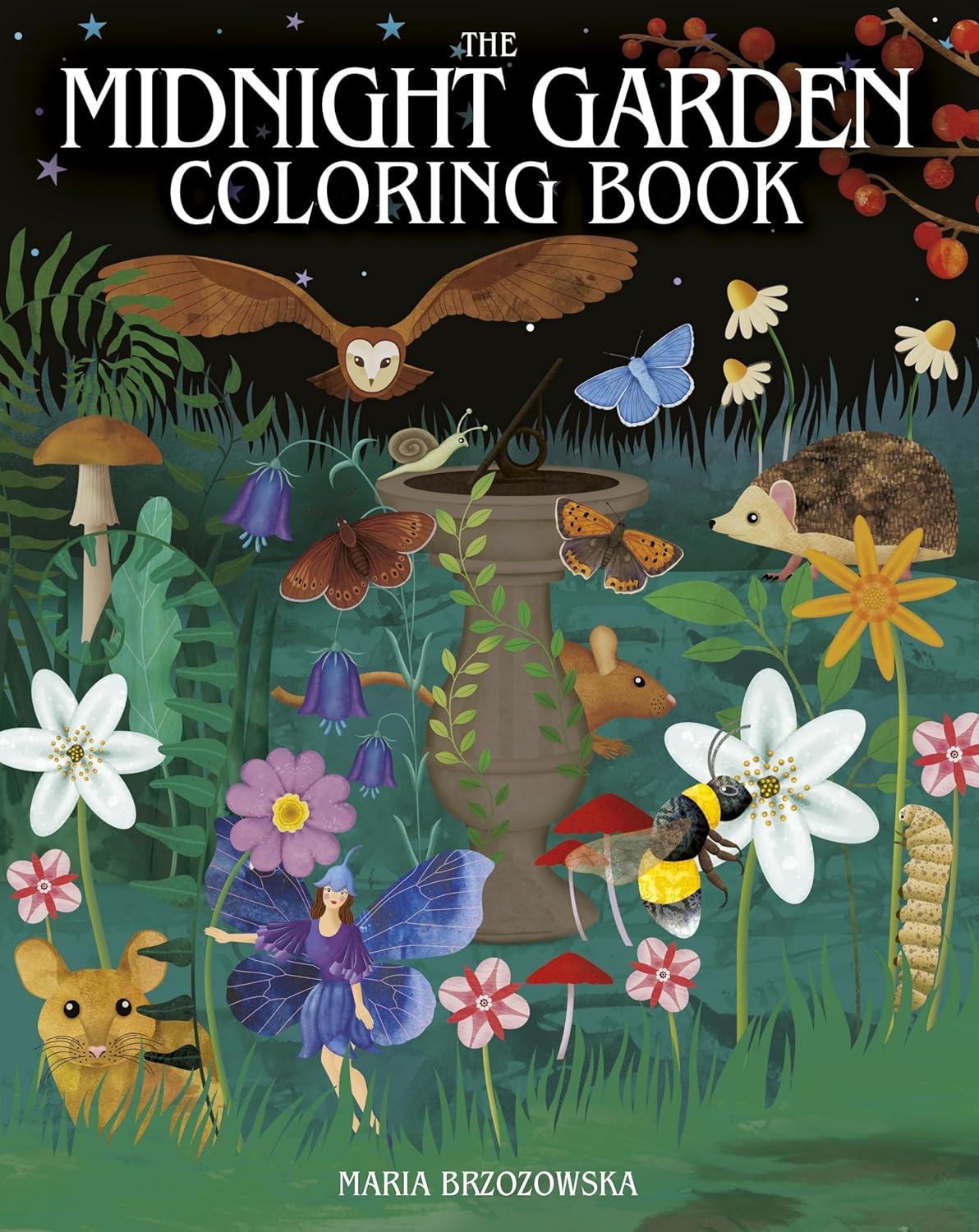 The Midnight Garden | Coloring Book