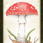 Mushroom Affirmations