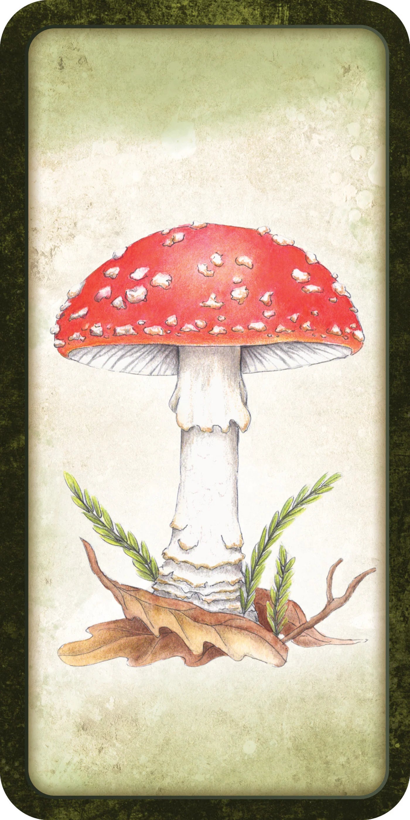 Mushroom Affirmations