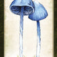 Mushroom Affirmations