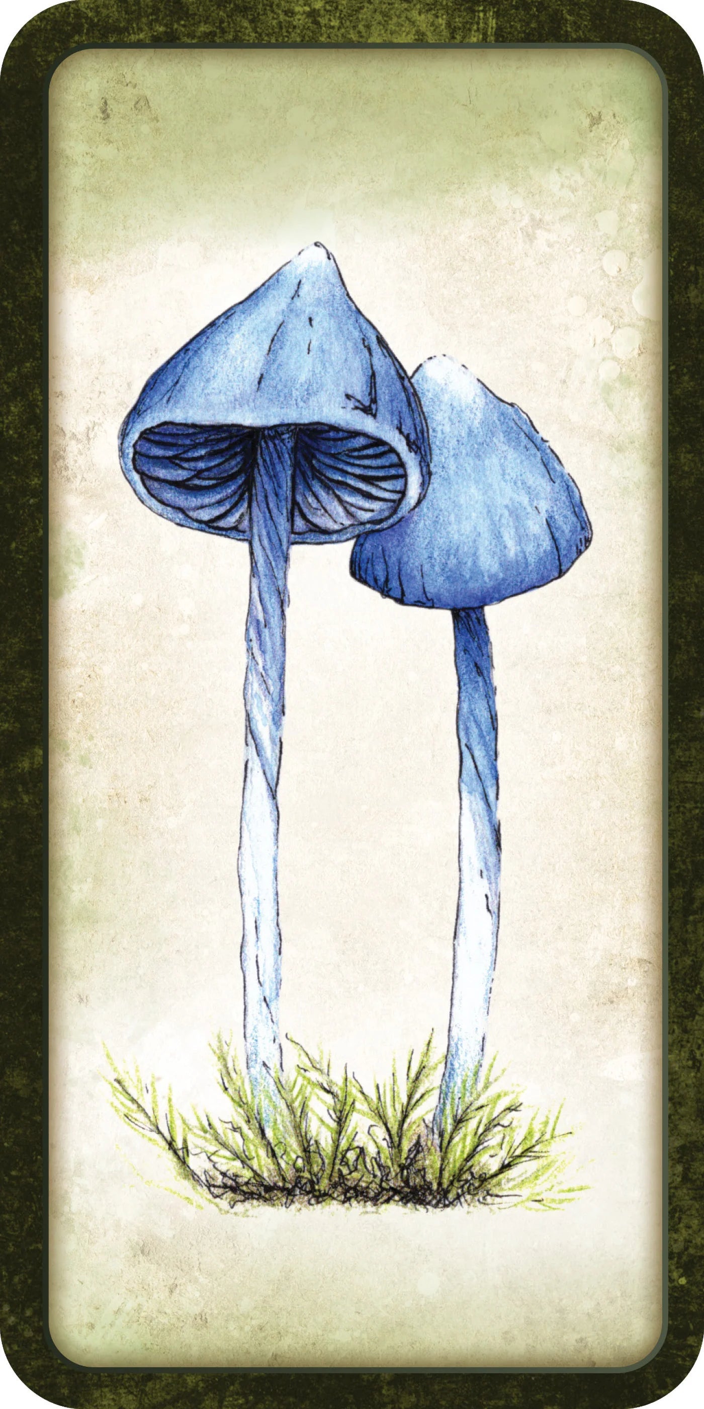 Mushroom Affirmations