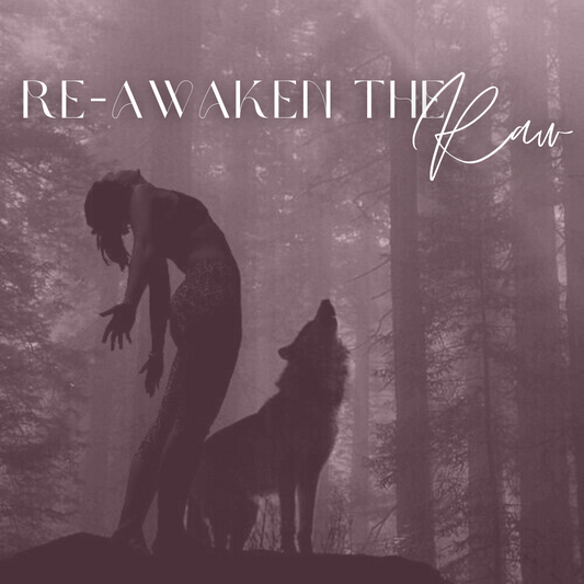 Re-Awaken the Raw: Danica Payment 3
