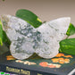 Moss Agate | Butterfly