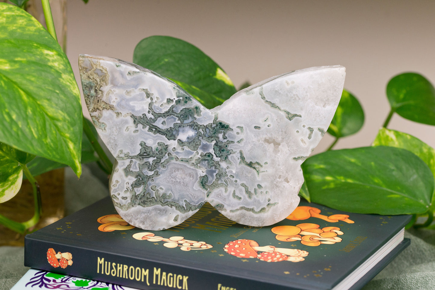 Moss Agate | Butterfly
