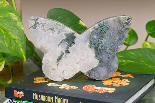 Moss Agate | Butterfly