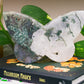 Moss Agate | Butterfly
