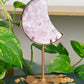 Gem-Lepidolite | Moon