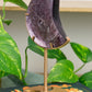 Gem-Lepidolite | Moon