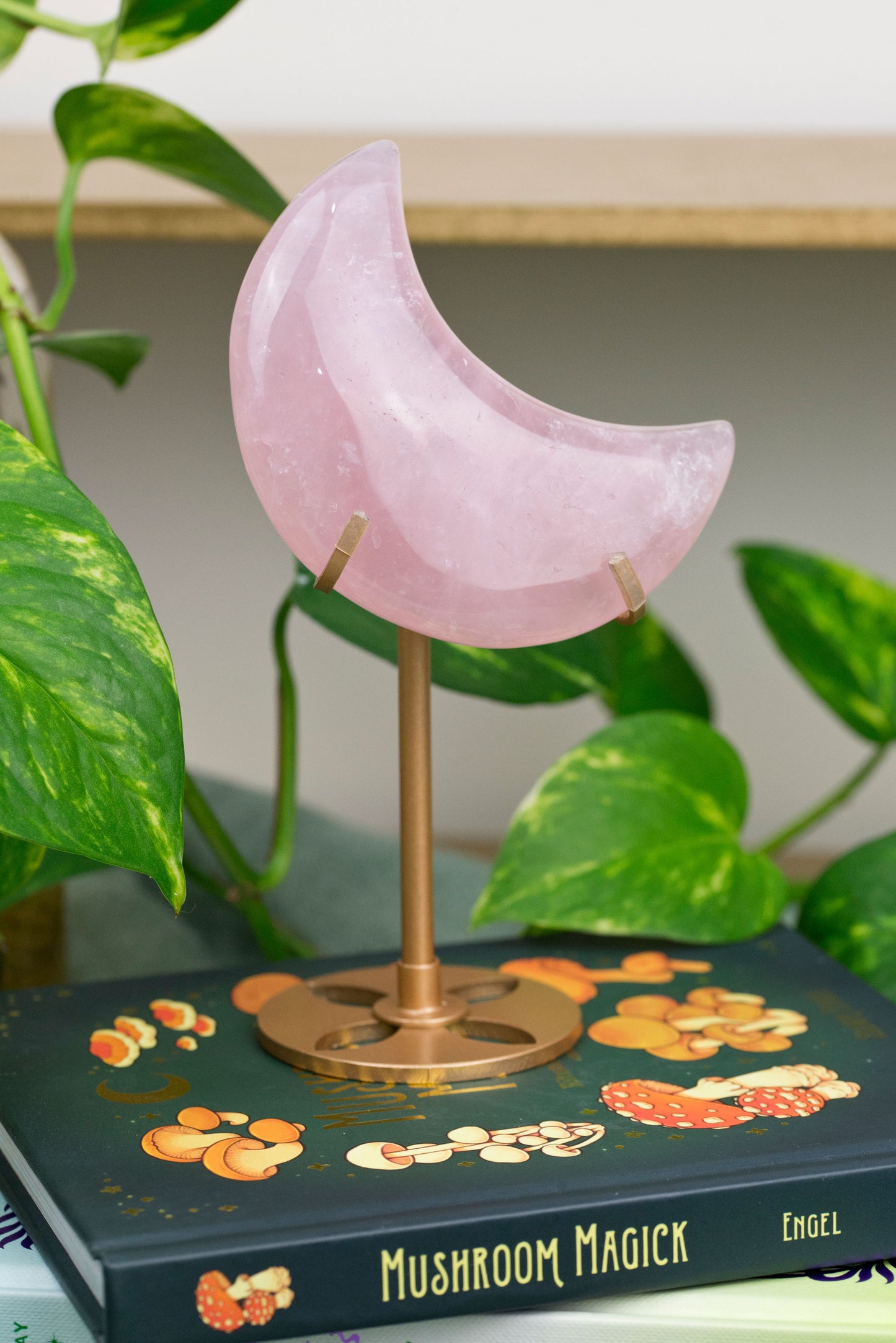 Rose Quartz | Moon