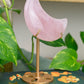 Rose Quartz | Moon